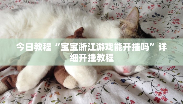 今日教程“宝宝浙江游戏能开挂吗”详细开挂教程