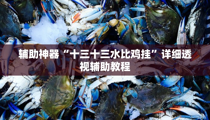 辅助神器“十三十三水比鸡挂”详细透视辅助教程 辅助神器“十三十三水比鸡挂”详细透视辅助教程