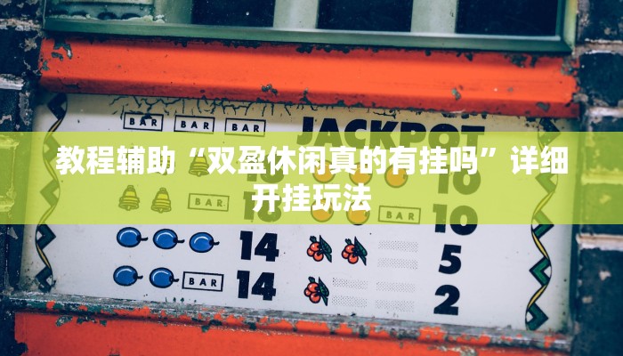 教程辅助“双盈休闲真的有挂吗”详细开挂玩法