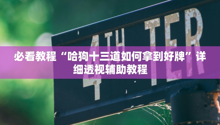 必看教程“哈狗十三道如何拿到好牌”详细透视辅助教程