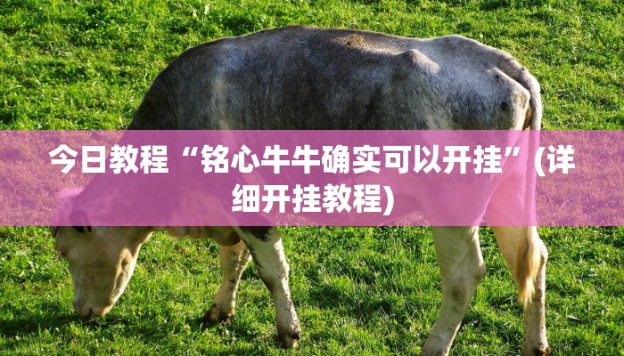 今日教程“铭心牛牛确实可以开挂”(详细开挂教程)