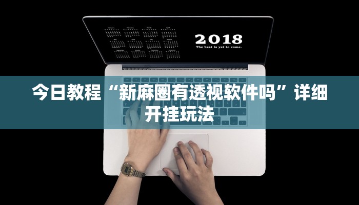 今日教程“新麻圈有透视软件吗”详细开挂玩法