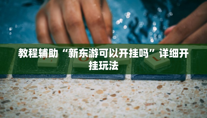 教程辅助“新东游可以开挂吗”详细开挂玩法