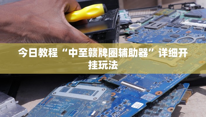 今日教程“中至赣牌圈辅助器”详细开挂玩法