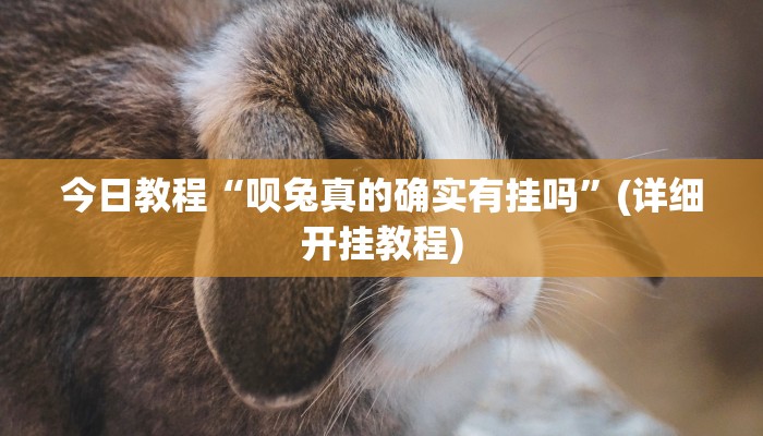 今日教程“呗兔真的确实有挂吗”(详细开挂教程)