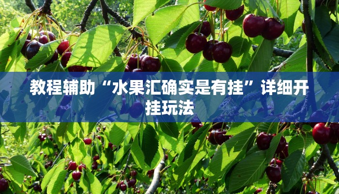 教程辅助“水果汇确实是有挂”详细开挂玩法