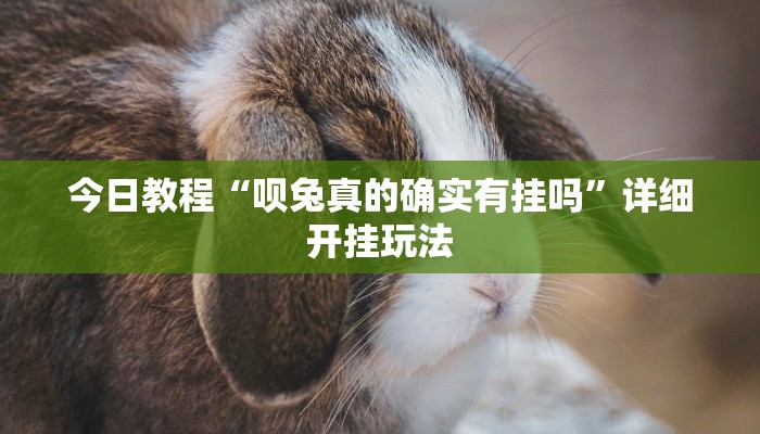 今日教程“呗兔真的确实有挂吗”详细开挂玩法