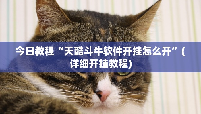 今日教程“天酷斗牛软件开挂怎么开”(详细开挂教程) 今日教程“天酷斗牛软件开挂怎么开”(详细开挂教程)