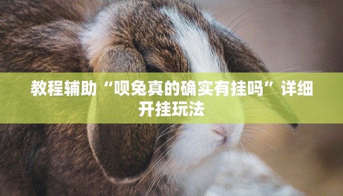 教程辅助“呗兔真的确实有挂吗”详细开挂玩法